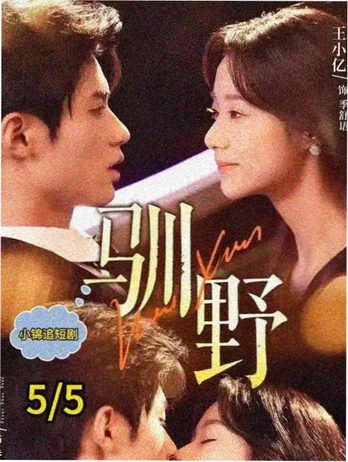归途列车剧集封面